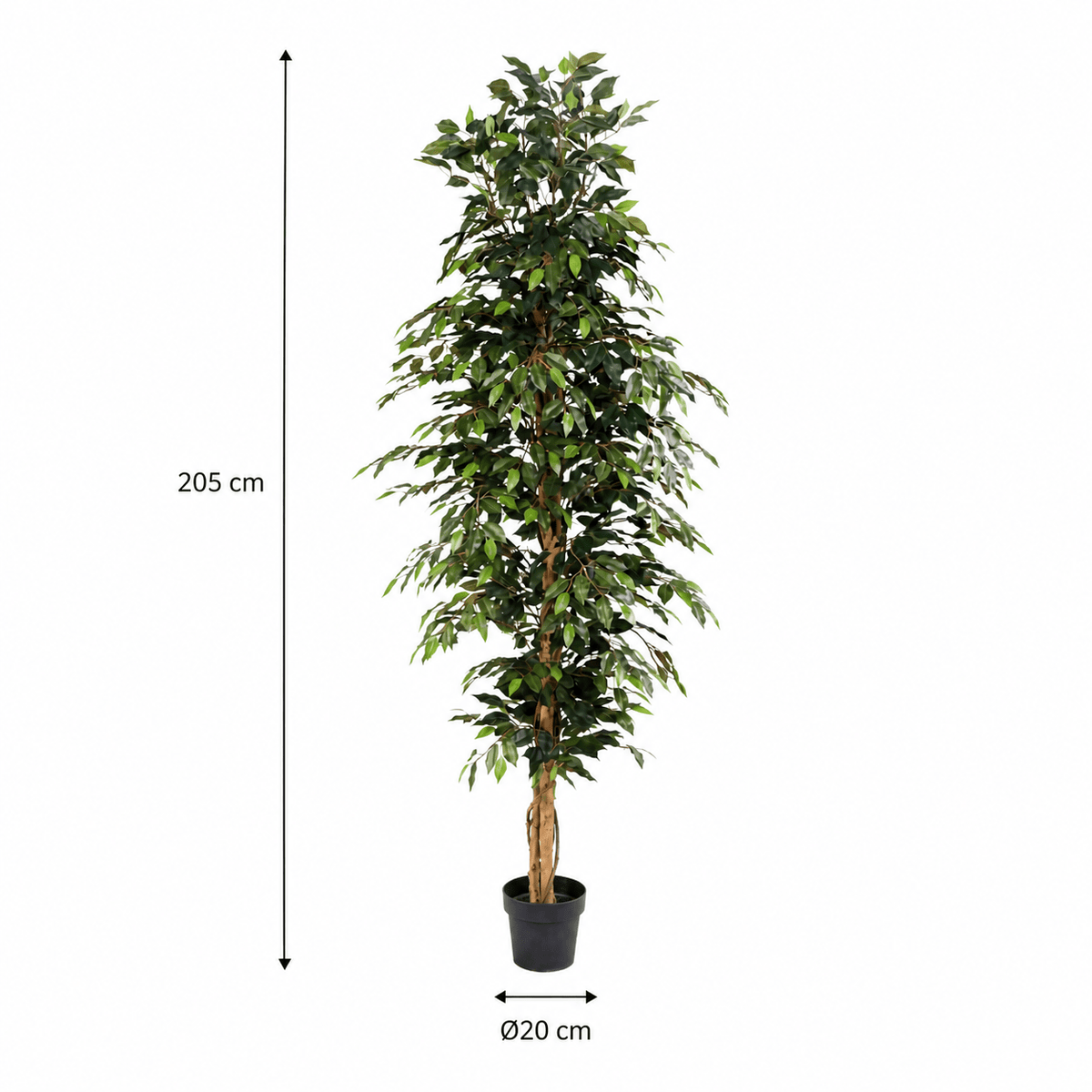 Birkenfeige Kunstpflanze 205 cm – Ficus Benjamina groß & elegant - DYFLORA