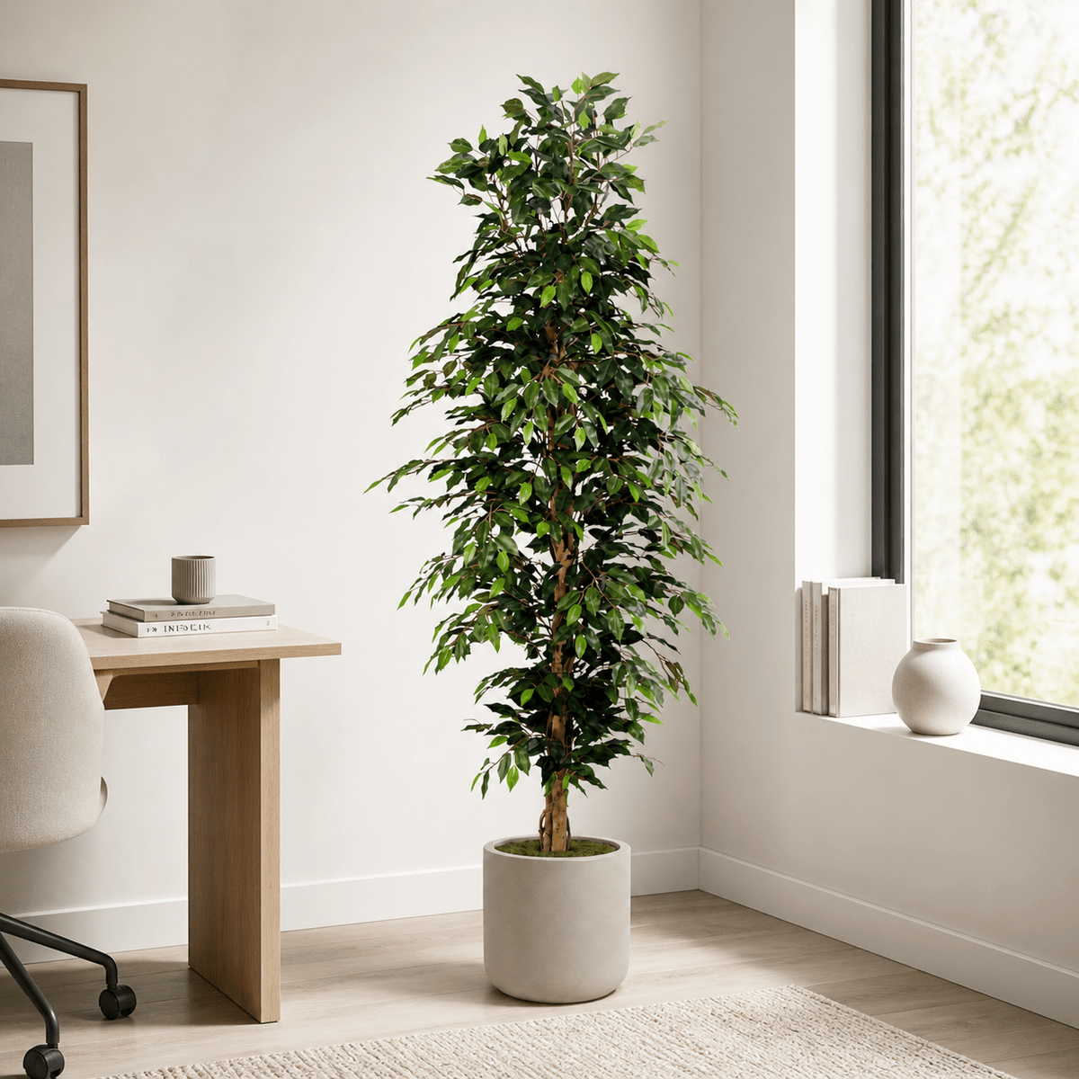 Birkenfeige Kunstpflanze 205 cm – Ficus Benjamina groß & elegant - DYFLORA