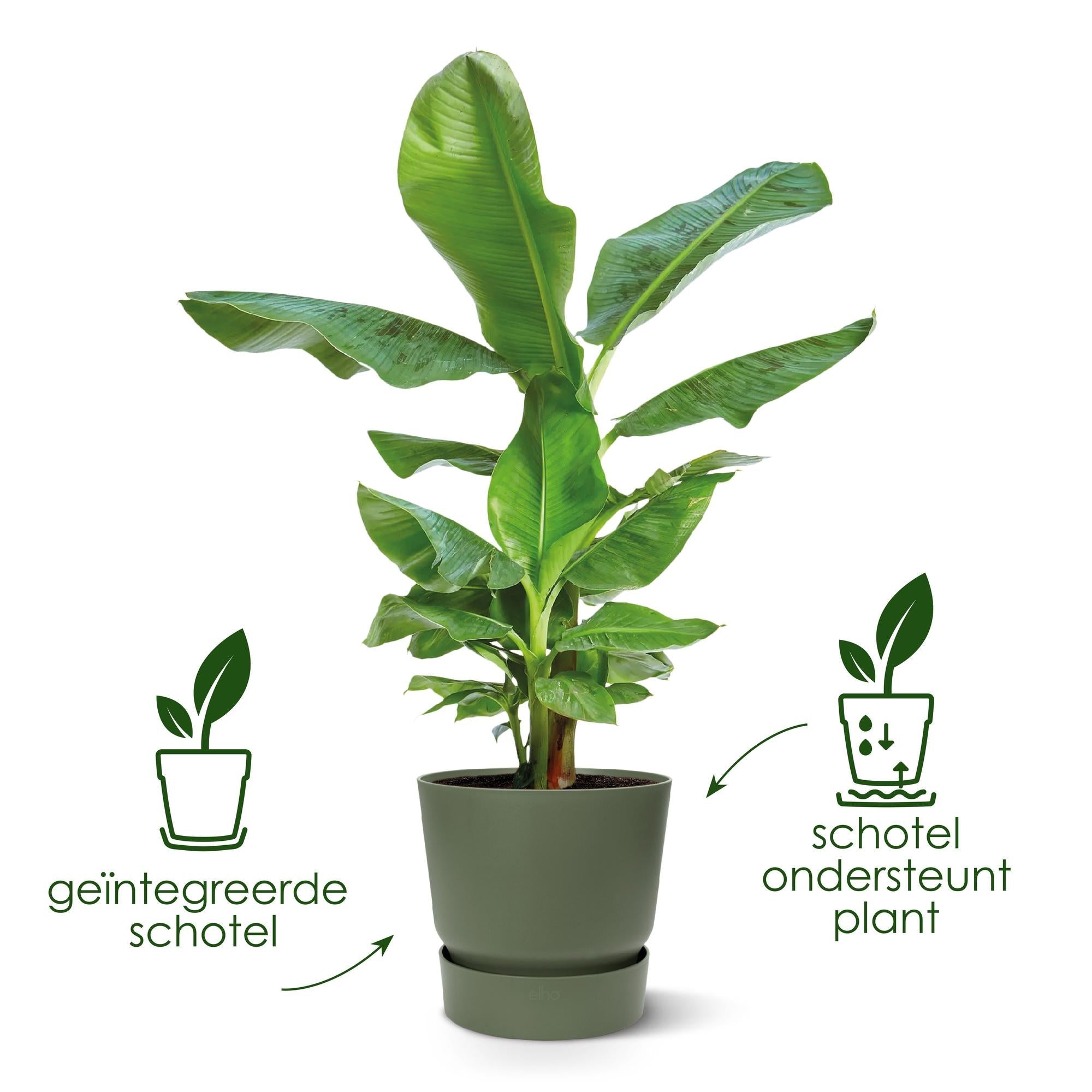 Blumentopf elho Greenville Round - DYFLORA