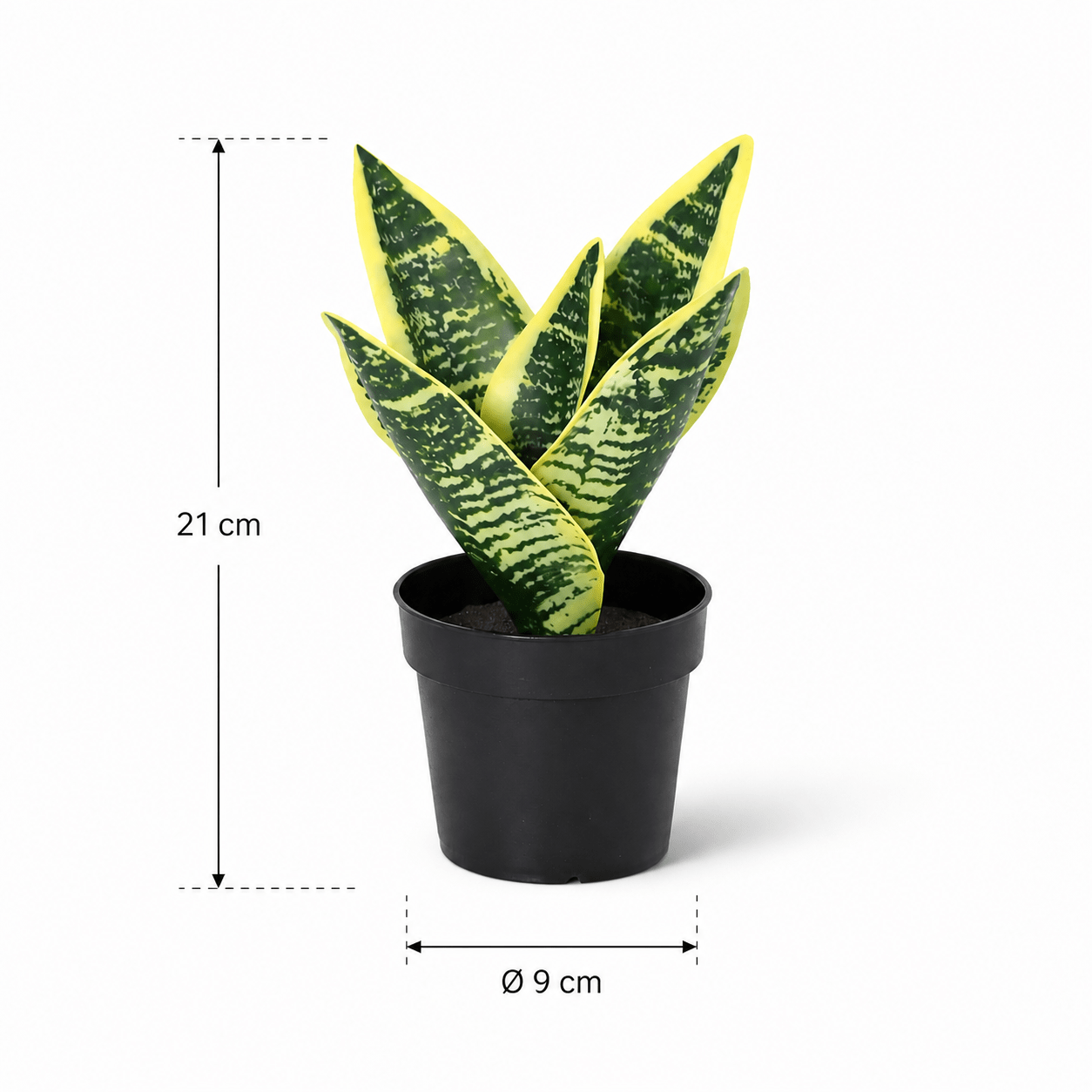 Bogenhanf Kunstpflanze 21 cm – Sansevieria Laurentii modern - DYFLORA
