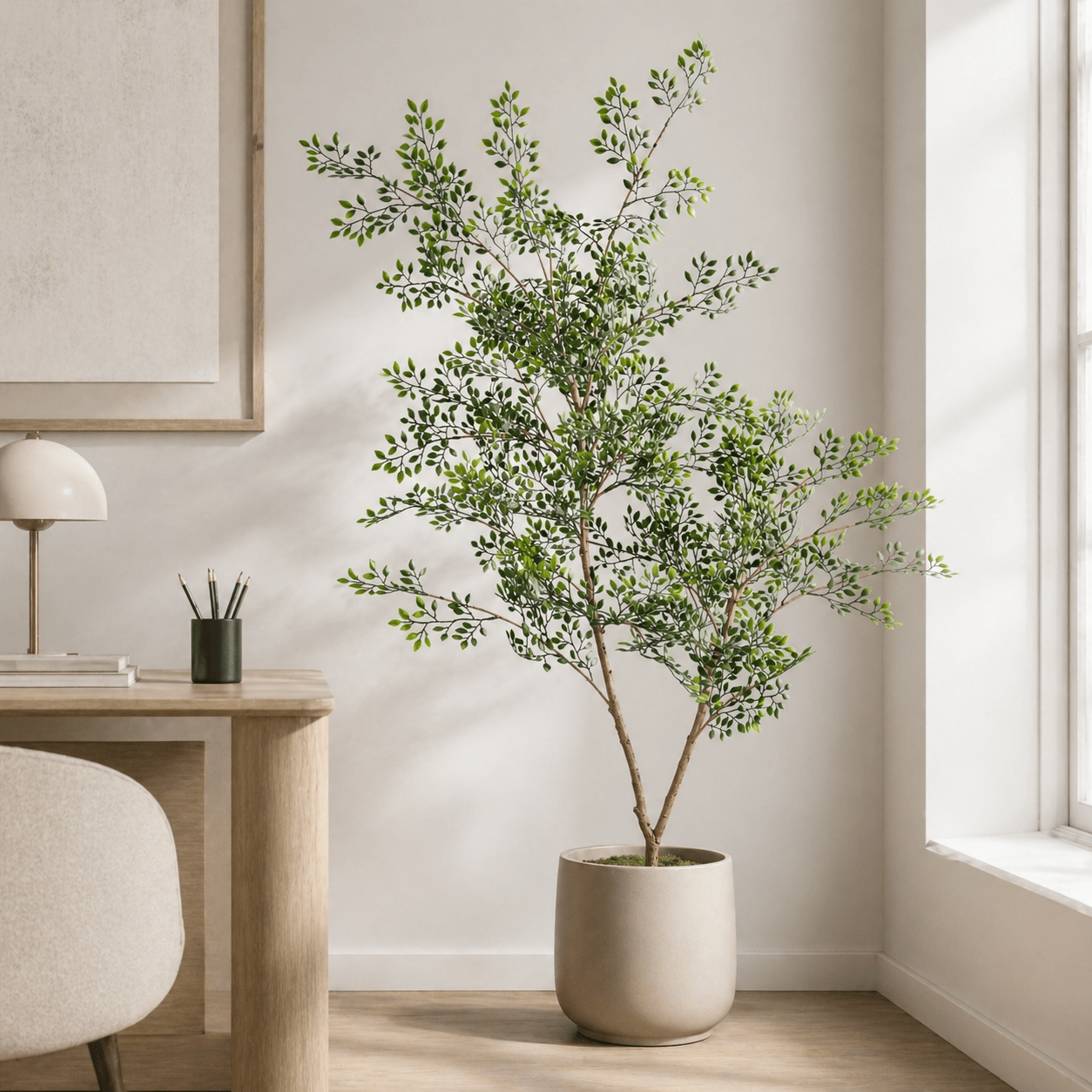 Bucida Kunstpflanze 71 cm – filigraner Kunstbaum mit feinen Blättern - DYFLORA