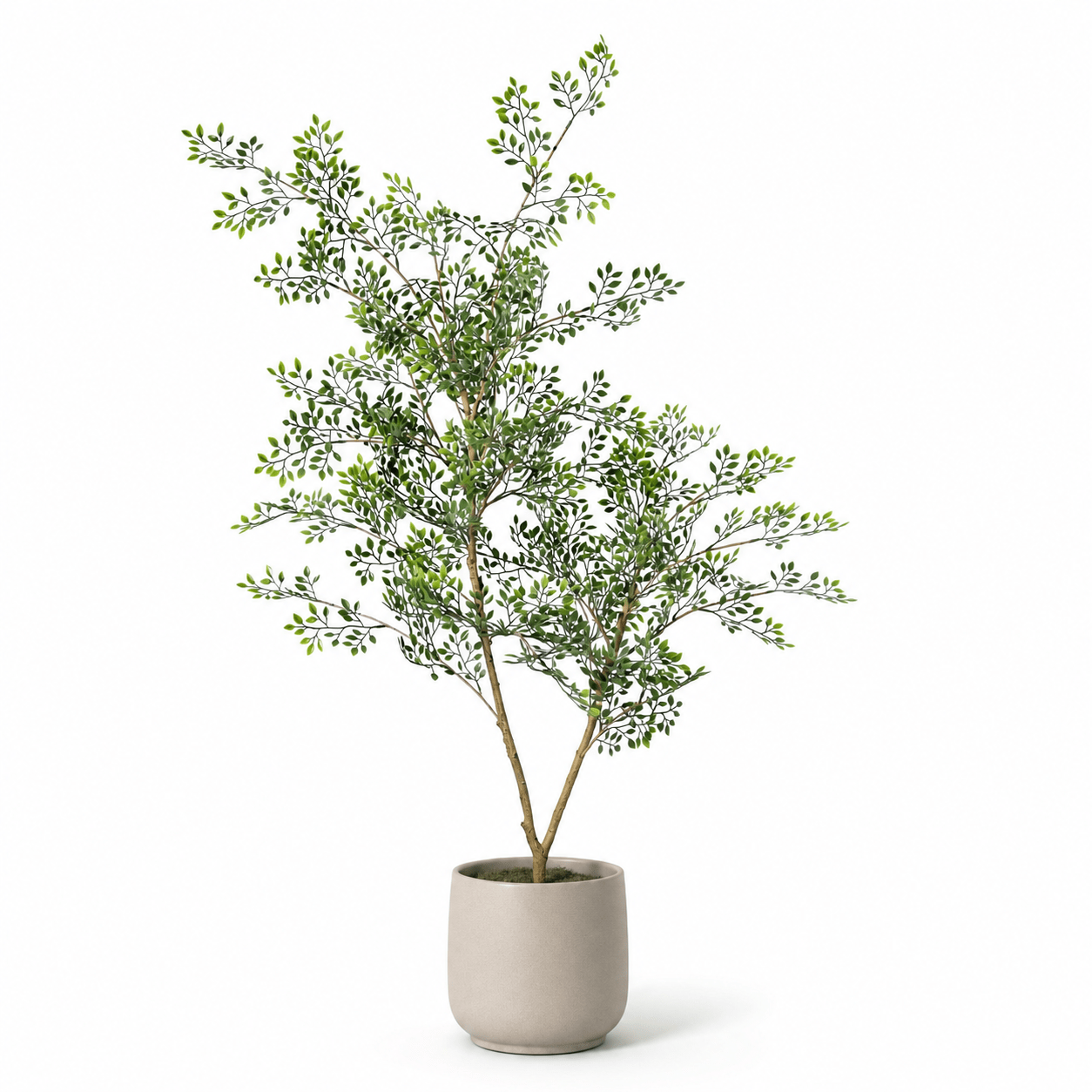 filigrane zimmerpflanze Bucida Kunstpflanze 71 cm filigraner grüner Kunstbaum – Kaufen