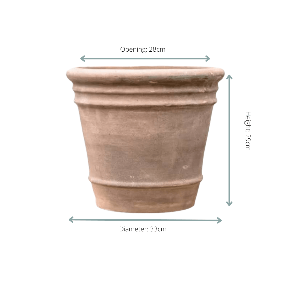 Choco Doppio pot - D33 x H29 - DYFLORA