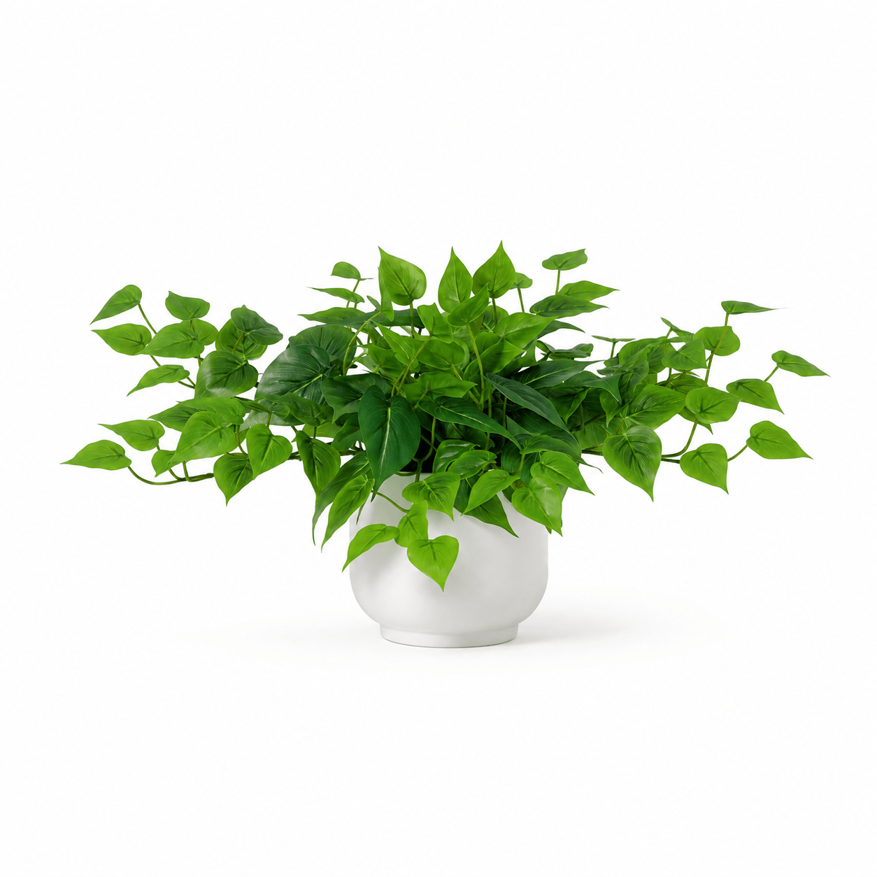 Efeutute Kunstpflanze – Epipremnum natürlich und stilvoll - DYFLORA
