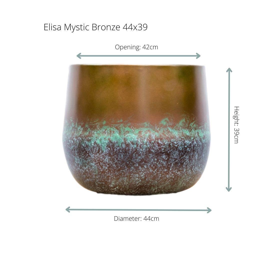 Elisa Mystic Bronze - DYFLORA