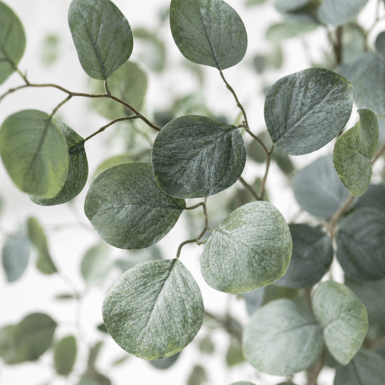 Eukalyptus Kunstpflanze 150 cm – stilvoller Kunstbaum natürlich - DYFLORA