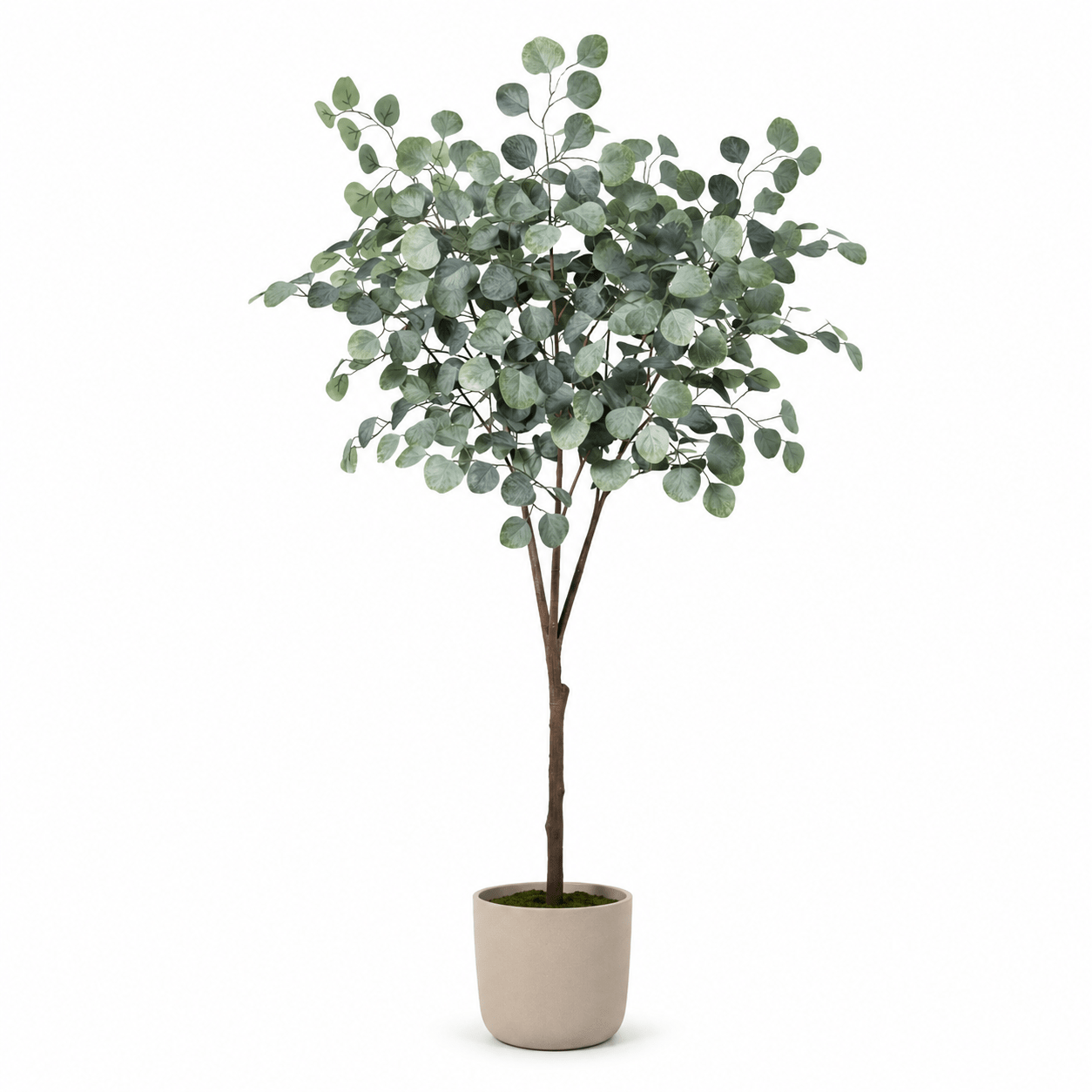 Eukalyptus Kunstpflanze 150 cm – stilvoller Kunstbaum natürlich - DYFLORA