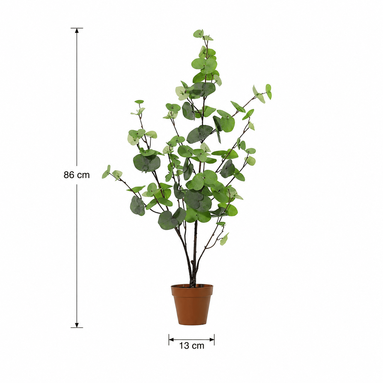 Eukalyptus Kunstpflanze 86 cm – grün, natürlich und stilvoll - DYFLORA
