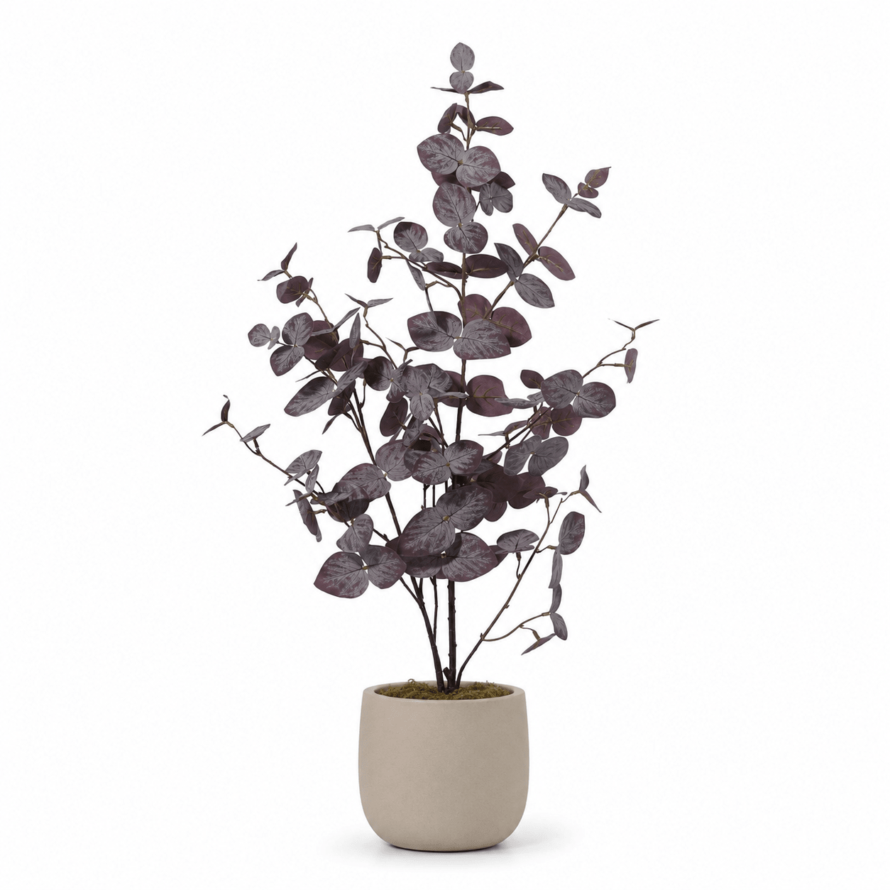 Eukalyptus Kunstpflanze 86 cm violett – stilvolle Deko mit runden Blättern - DYFLORA