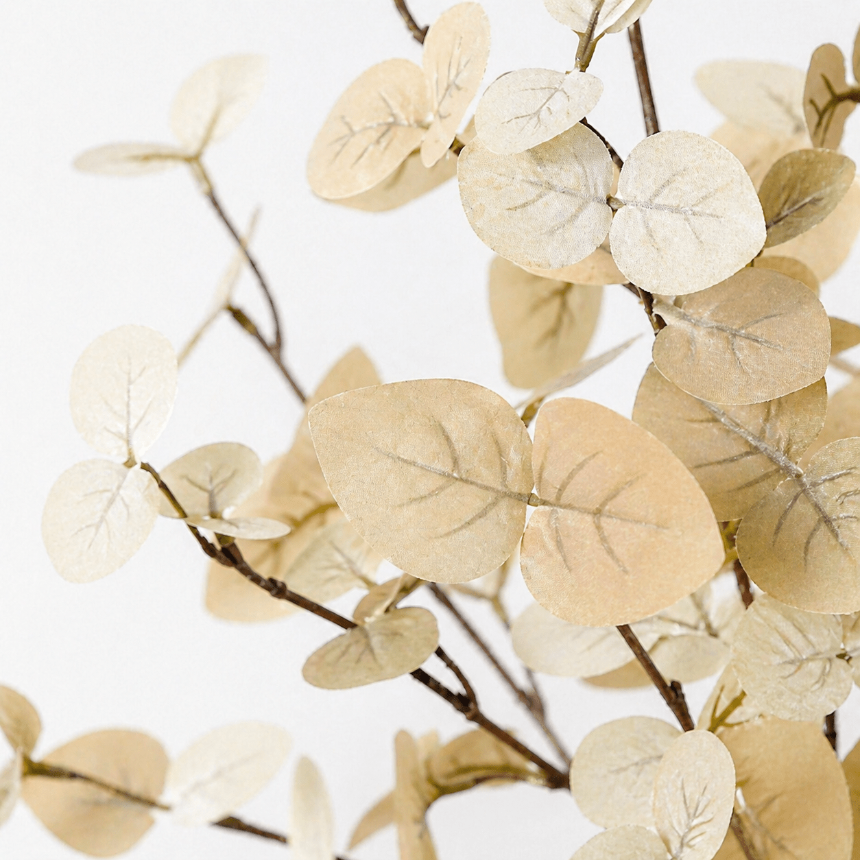 Eukalyptus Kunstpflanze 86 cm weiß – zarte Deko mit natürlicher Zweigform - DYFLORA