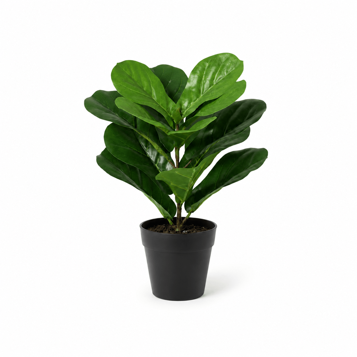 Geigenfeige Kunstpflanze 40 cm – Ficus lyrata für moderne Deko - DYFLORA