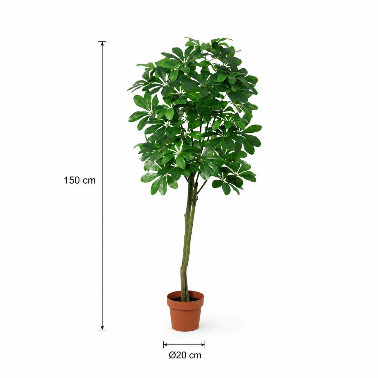 Glückskastanie Kunstpflanze 150 cm – Pachira Aquatica stilvoll - DYFLORA