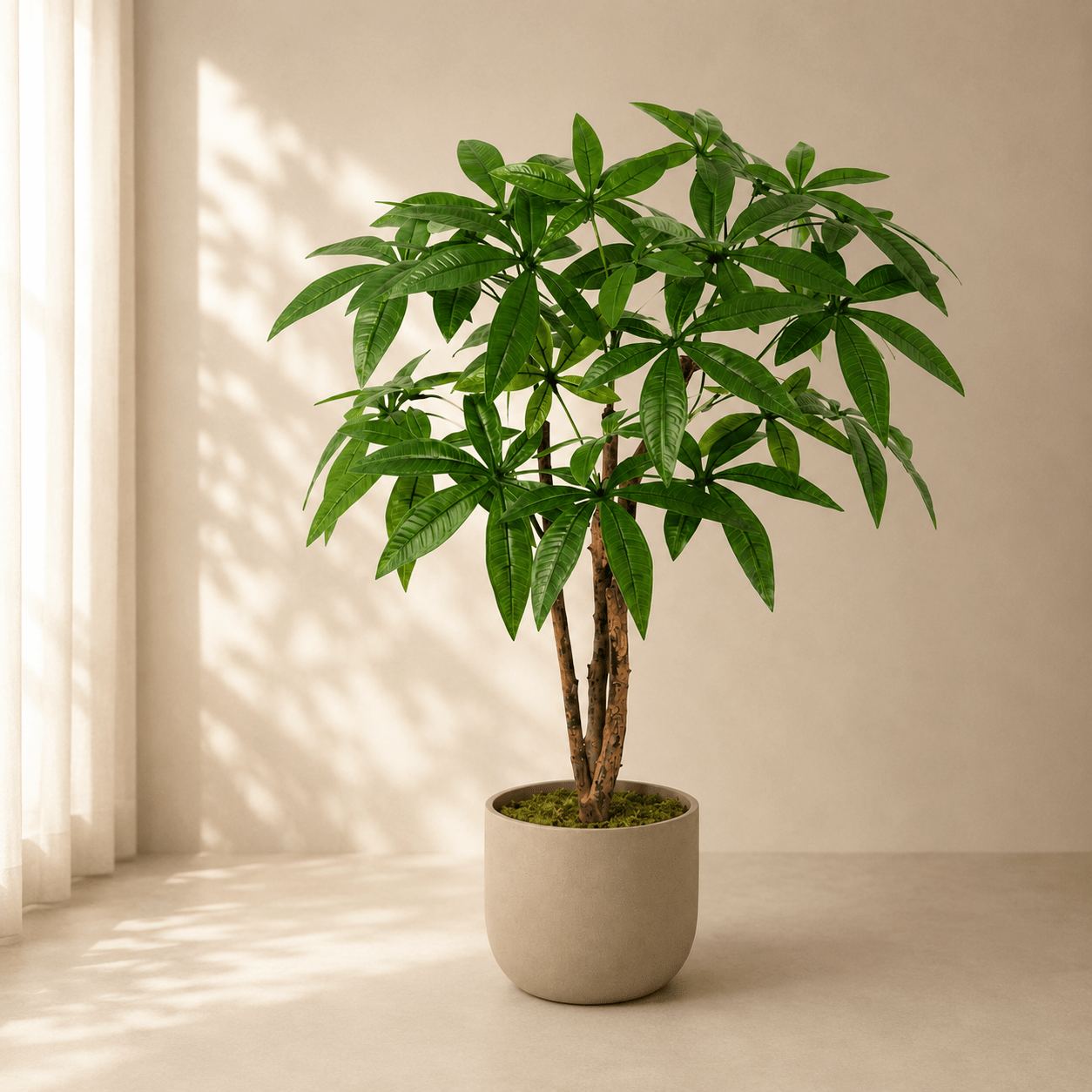 Glückskastanie Kunstpflanze 86 cm – Pachira Aquatica natürlich - DYFLORA