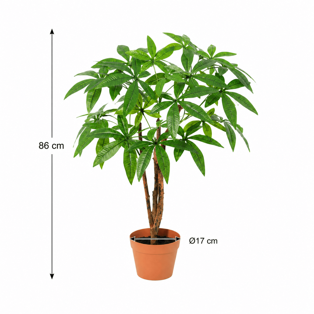Glückskastanie Kunstpflanze 86 cm – Pachira Aquatica natürlich - DYFLORA