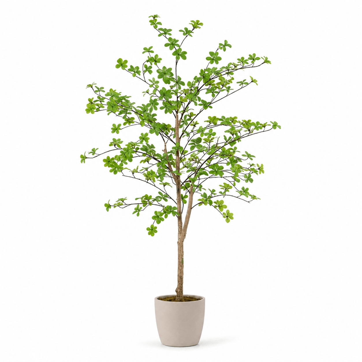 Kapuzinerkresse Kunstpflanze 130 cm – Tropaeolum natürlich - DYFLORA