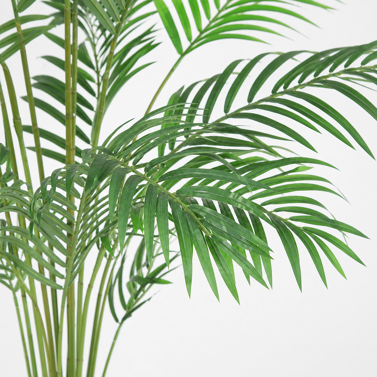 Kentia Palme Kunstpflanze 170 cm – elegante künstliche Zimmerpalme - DYFLORA