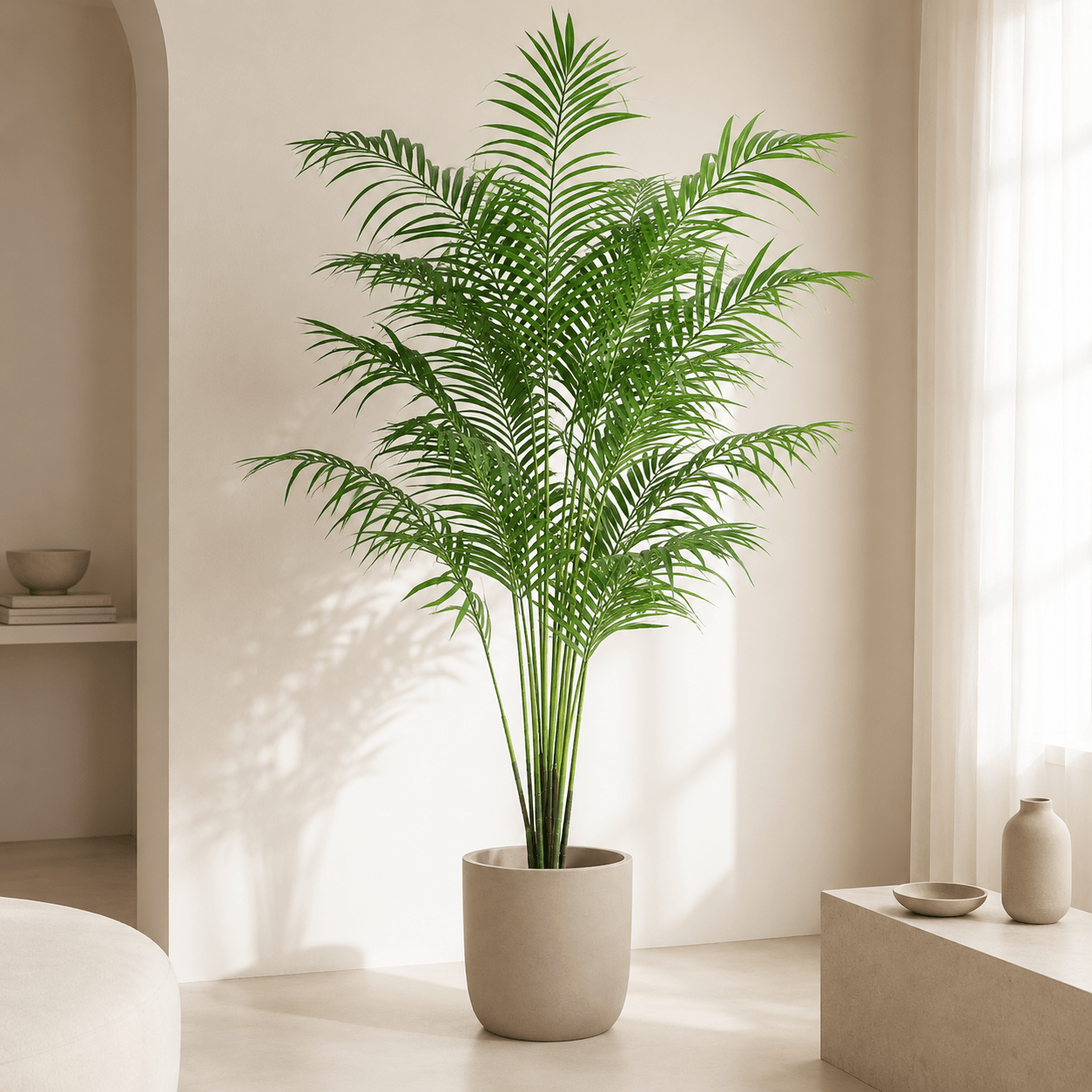 Kentia Palme Kunstpflanze 170 cm – elegante künstliche Zimmerpalme - DYFLORA