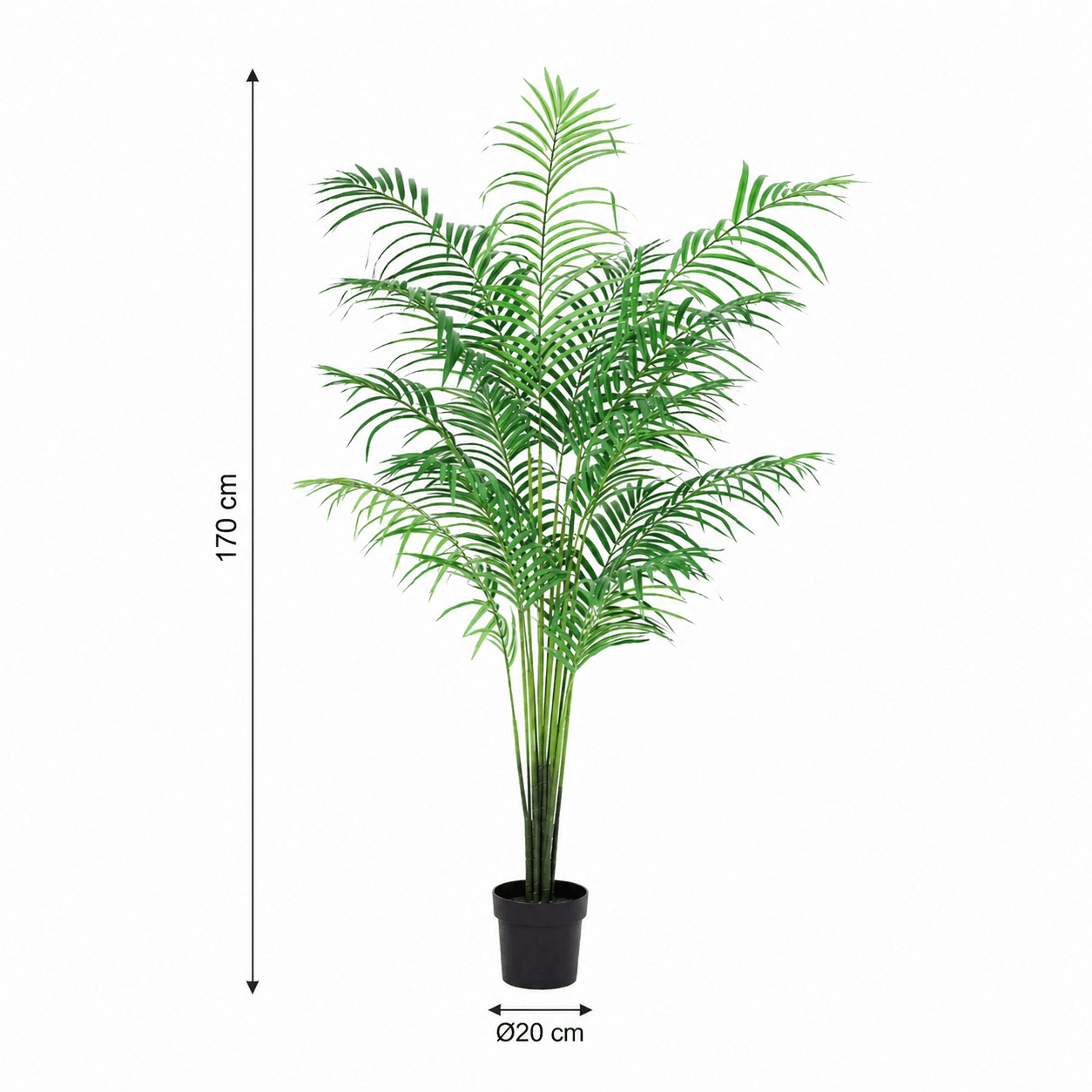 Kentia Palme Kunstpflanze 170 cm – elegante künstliche Zimmerpalme - DYFLORA