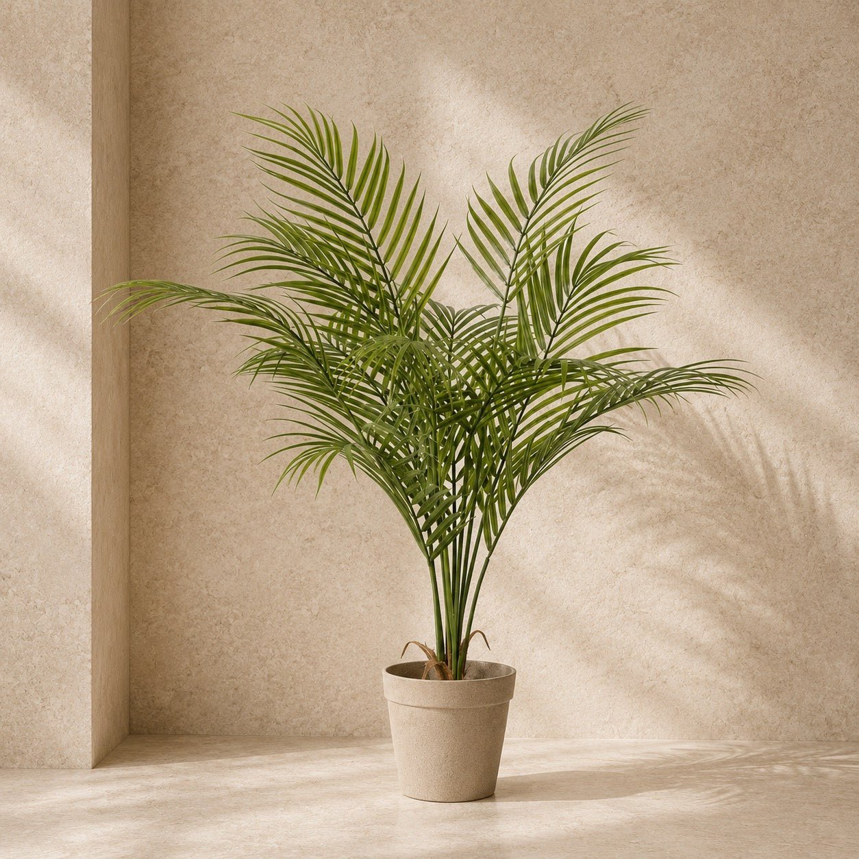 Kentiapalme Kunstpflanze 65 cm | Realistische Kunstpalme - DYFLORA