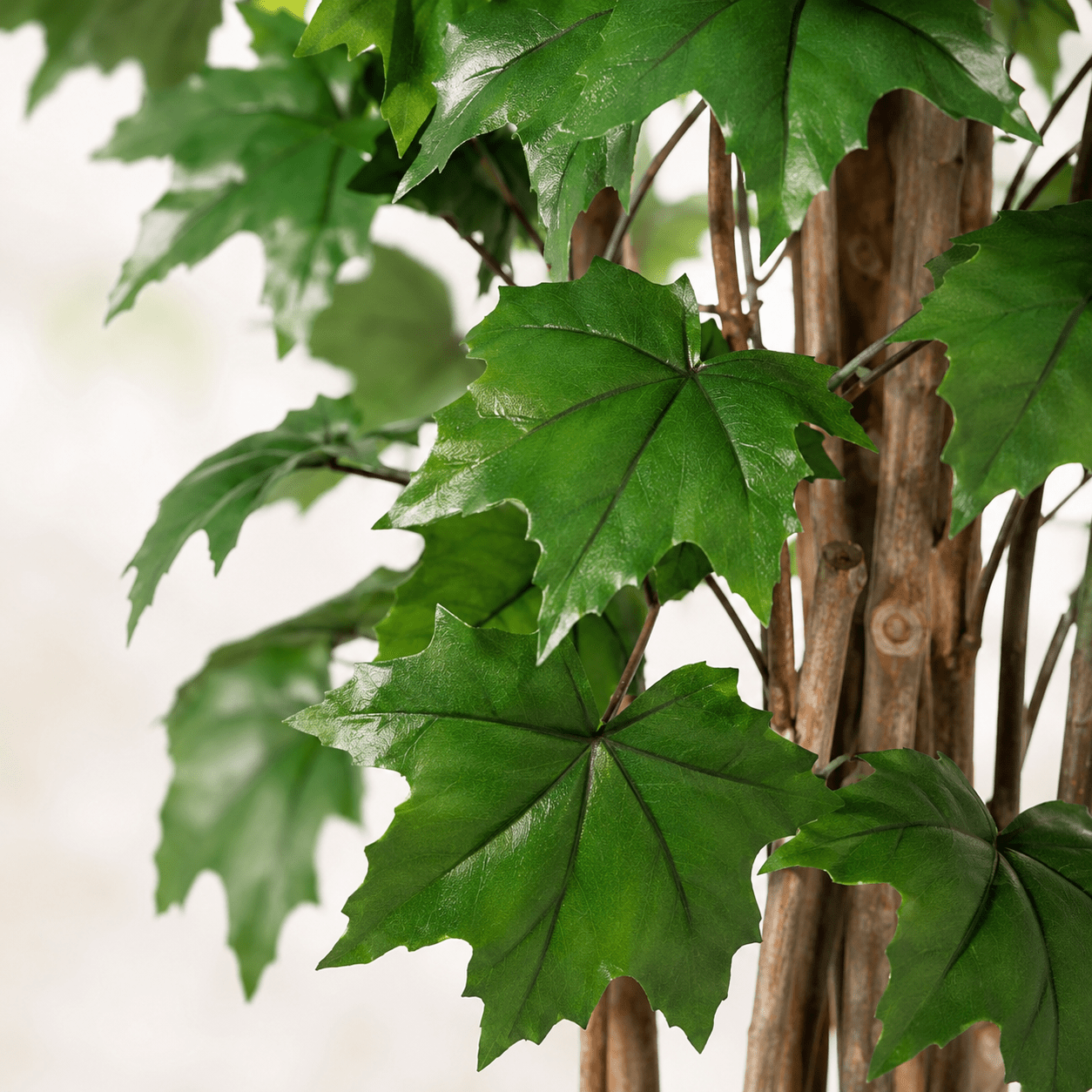 Kunstpflanze Ahornbaum 150 cm – künstlicher Ahorn mit Naturlook - DYFLORA