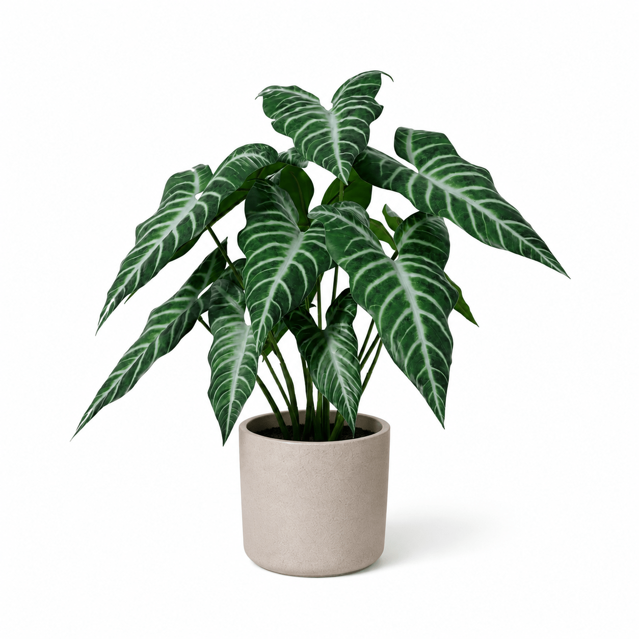 Kunstpflanze Alokasie Polly 49 cm – künstliches Elefantenohr - DYFLORA