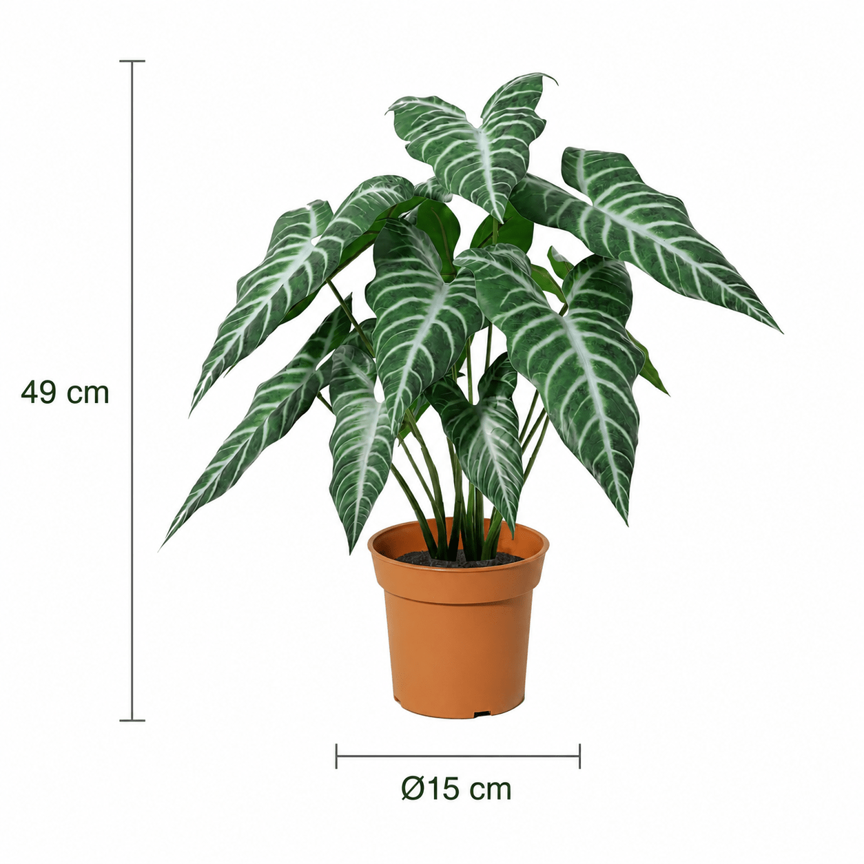Kunstpflanze Alokasie Polly 49 cm – künstliches Elefantenohr - DYFLORA