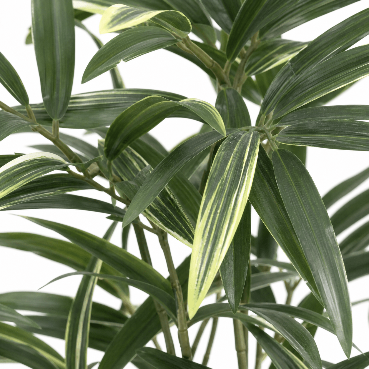 Kunstpflanze Bambus 57 cm mit naturgetreuer Blattoptik - DYFLORA