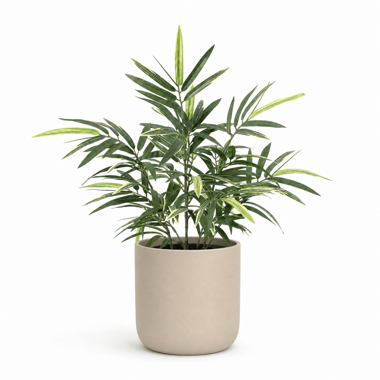 Kunstpflanze Bambus 57 cm mit naturgetreuer Blattoptik - DYFLORA