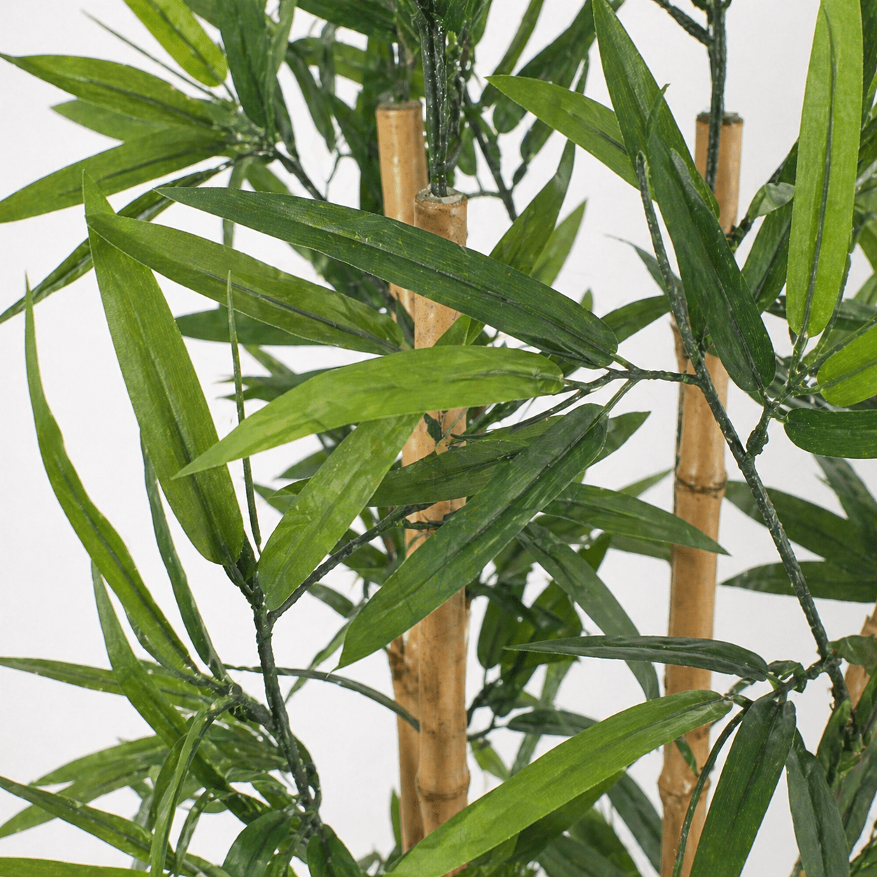 Kunstpflanze Bambus 91 cm mit schlanker, natürlicher Optik - DYFLORA