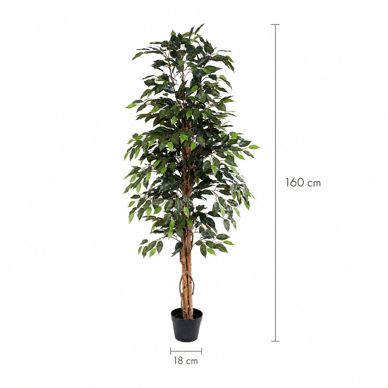 Kunstpflanze Birkenfeige Ficus Benjamina 160 cm - DYFLORA