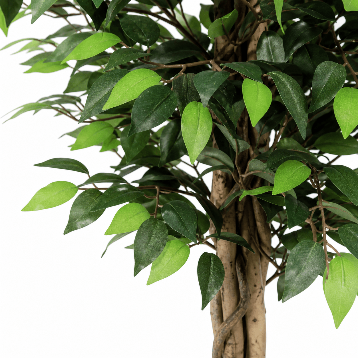 Kunstpflanze Birkenfeige Ficus Benjamina 180 cm - DYFLORA