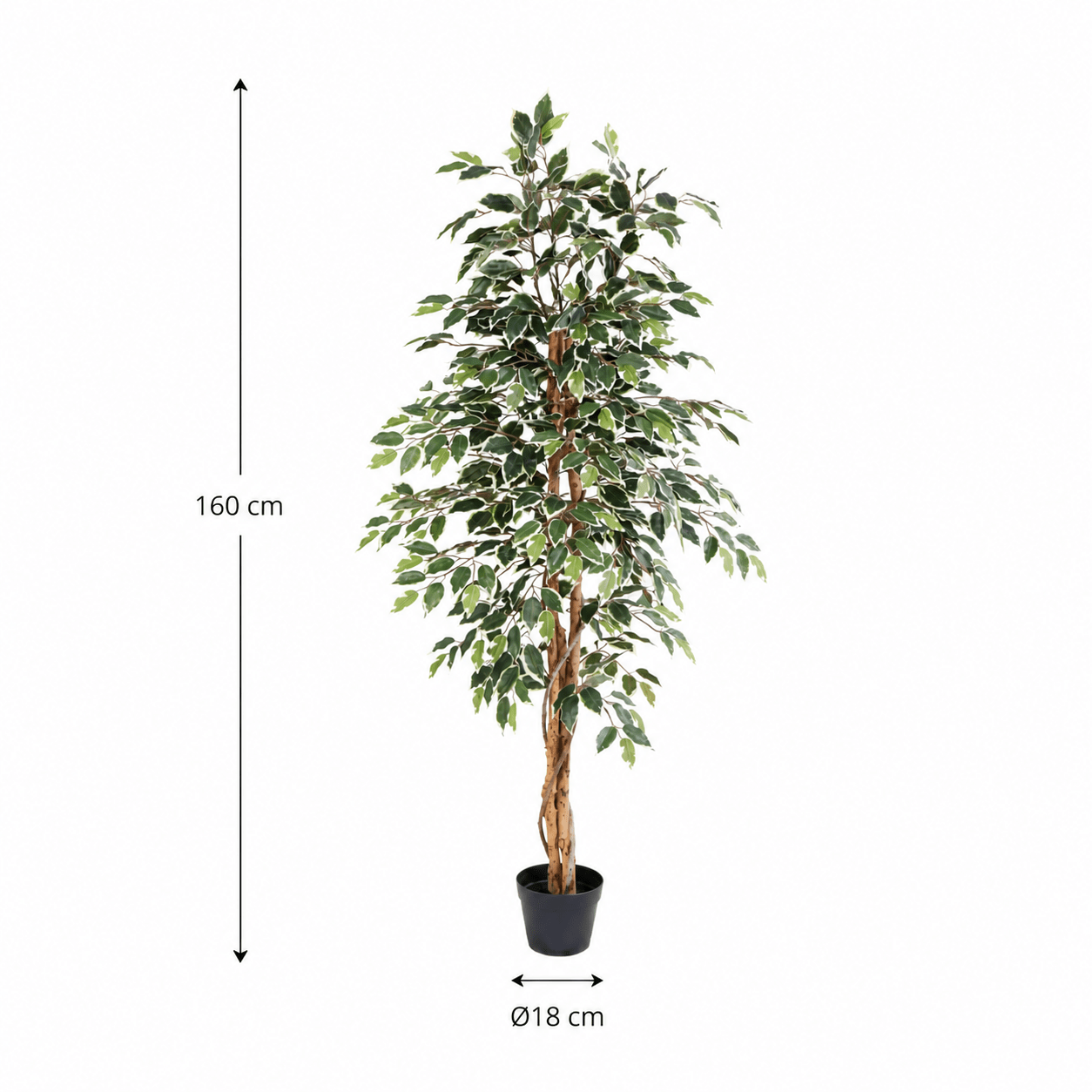 Kunstpflanze Birkenfeige Variegata 160 cm mit heller Blattoptik - DYFLORA
