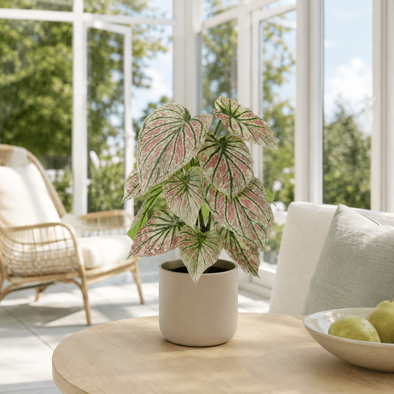 Kunstpflanze Caladium Grün - Pink 57 cm – künstliches Buntblatt - DYFLORA