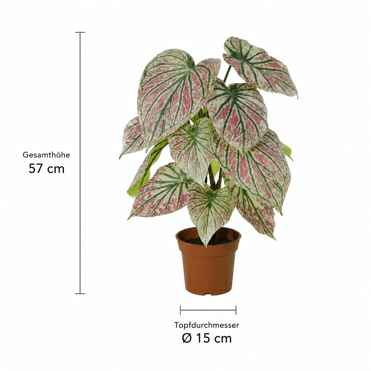 Kunstpflanze Caladium Grün - Pink 57 cm – künstliches Buntblatt - DYFLORA