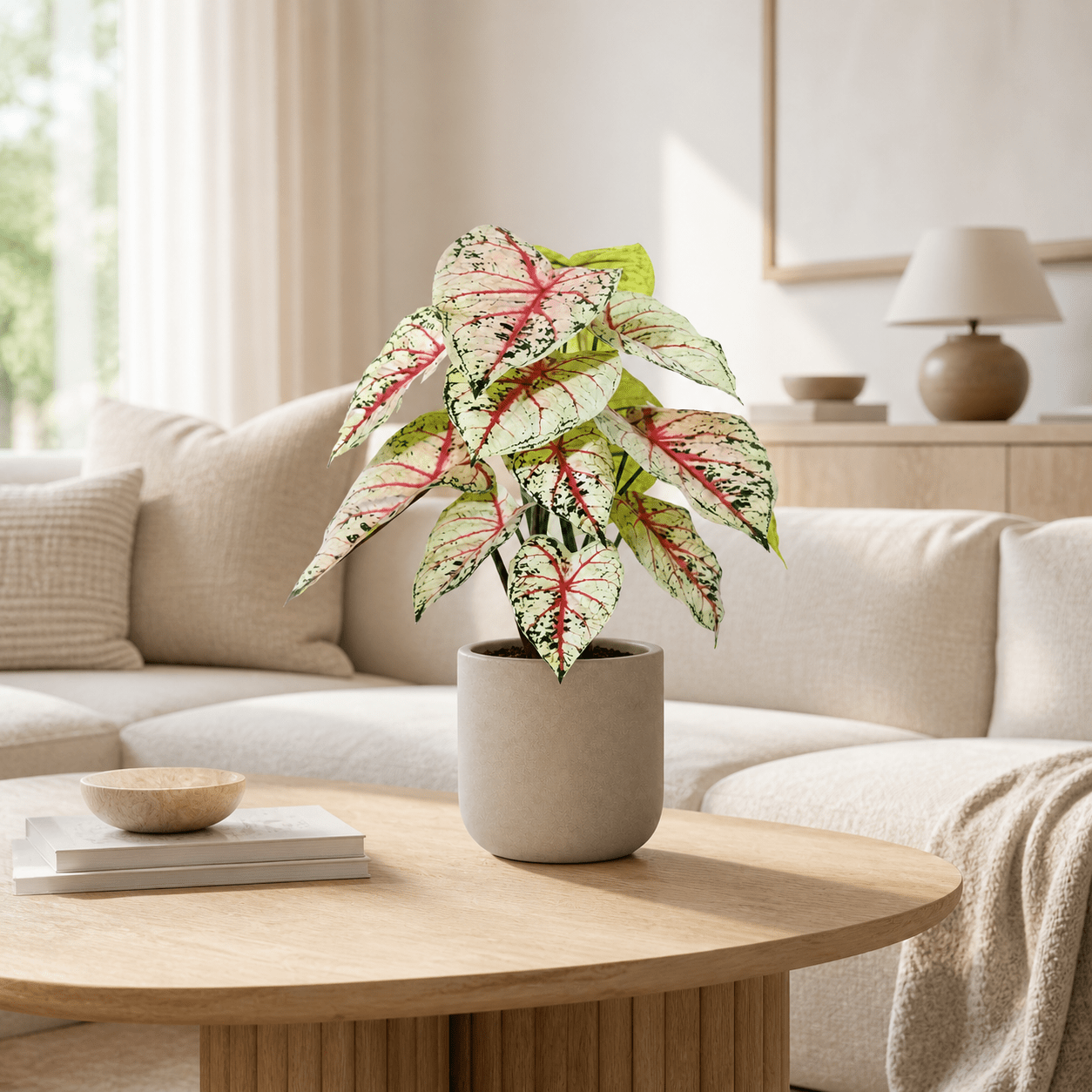 Kunstpflanze Caladium weiß rosa 57 cm - DYFLORA