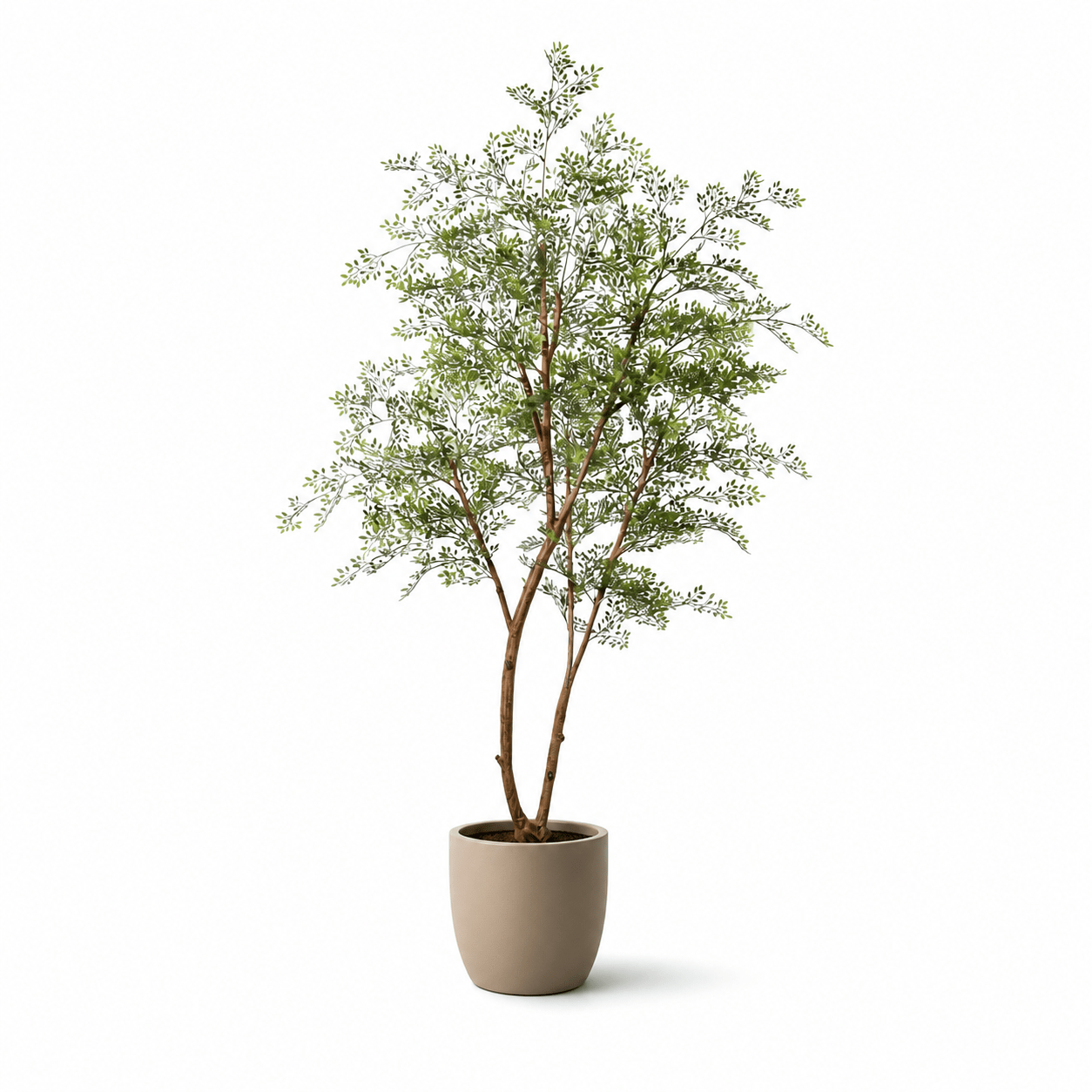 Kunstpflanze Cassia Baum 180 cm mit filigraner, luftiger Optik - DYFLORA