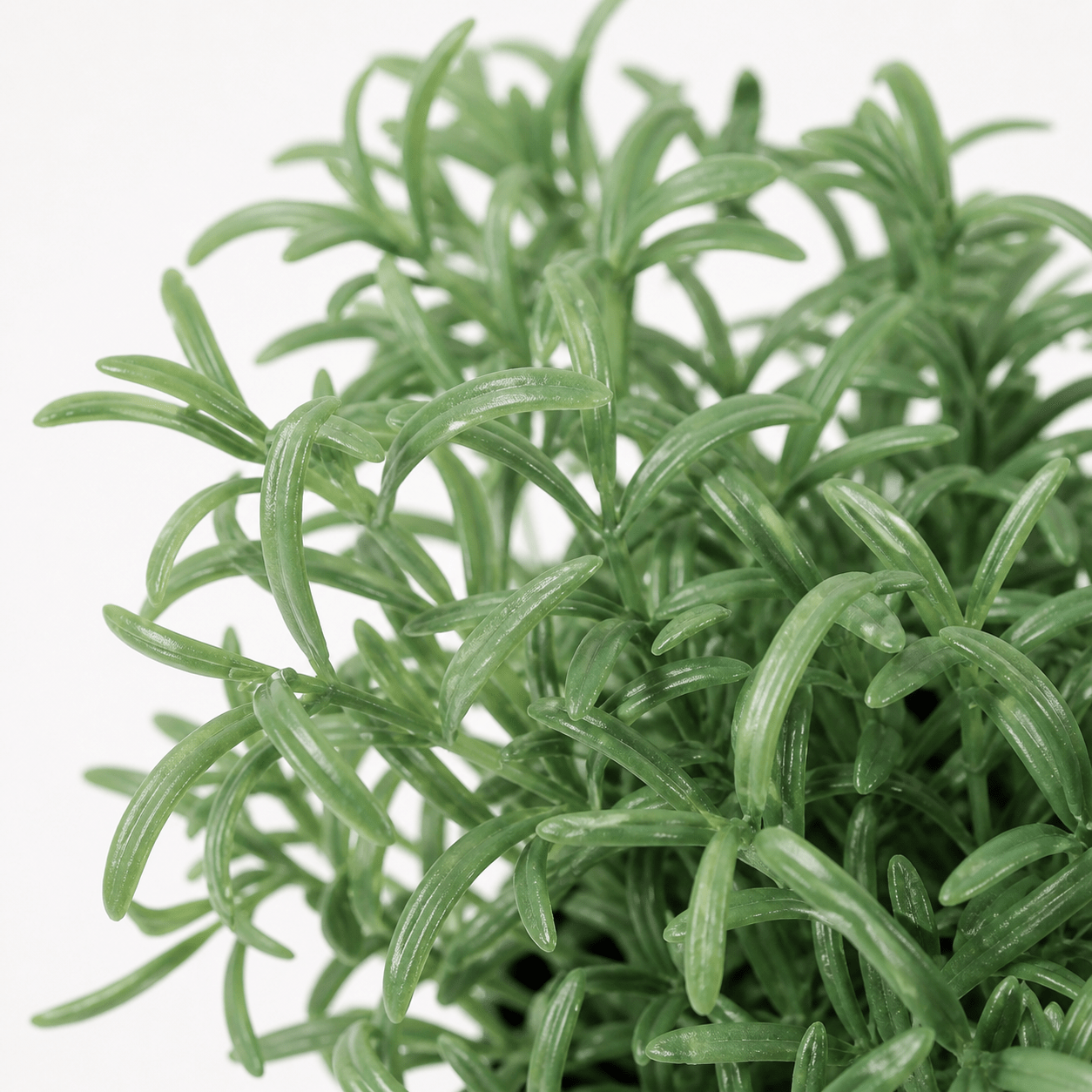 Kunstpflanze Currykraut Helichrysum italicum 18 cm - DYFLORA