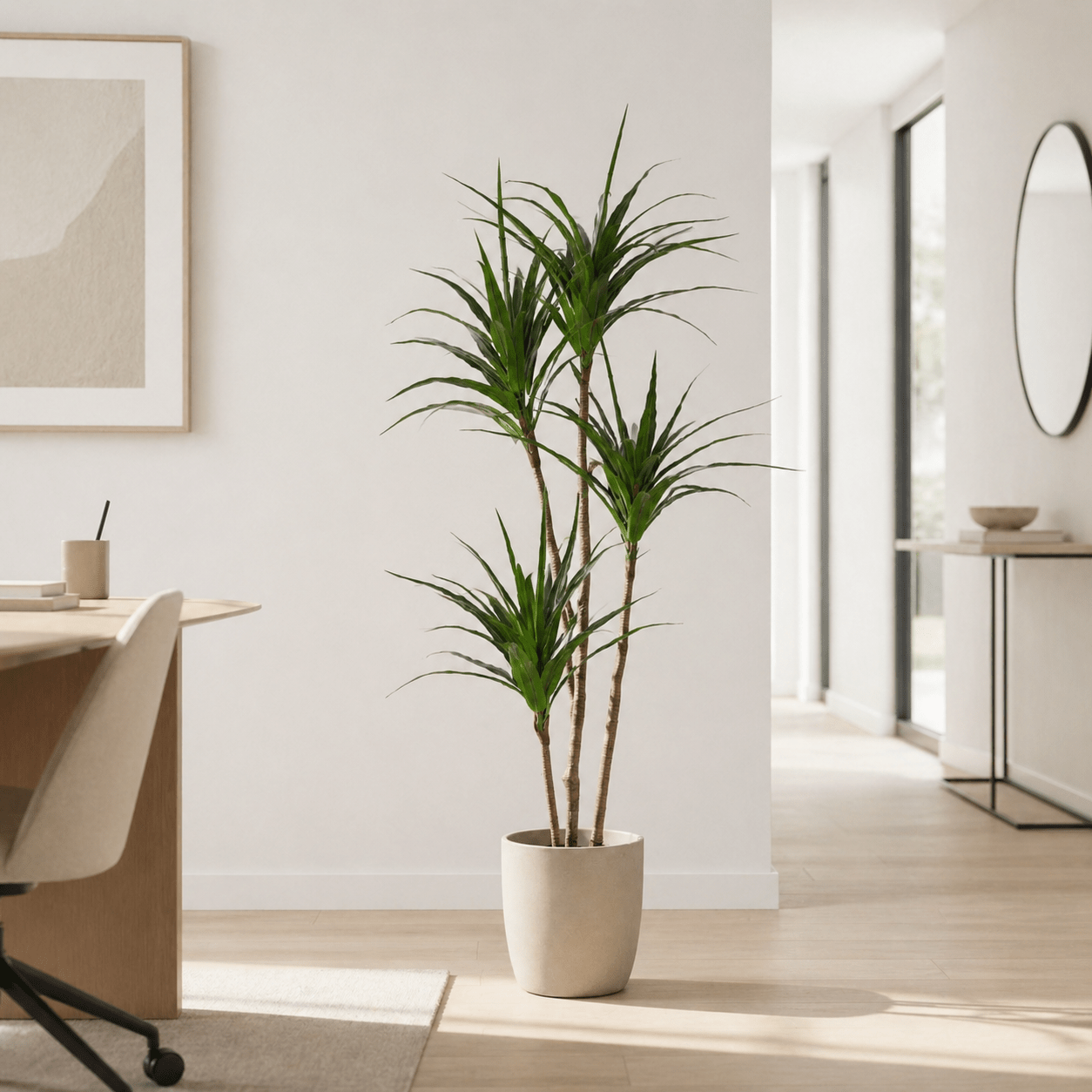 Kunstpflanze Drachenbaum 165 cm – künstliche Dracaena - DYFLORA