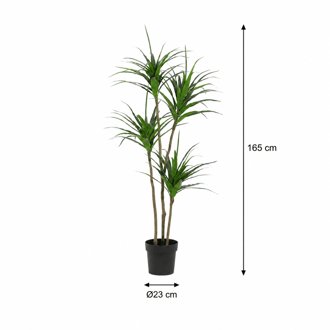 Kunstpflanze Drachenbaum 165 cm – künstliche Dracaena - DYFLORA