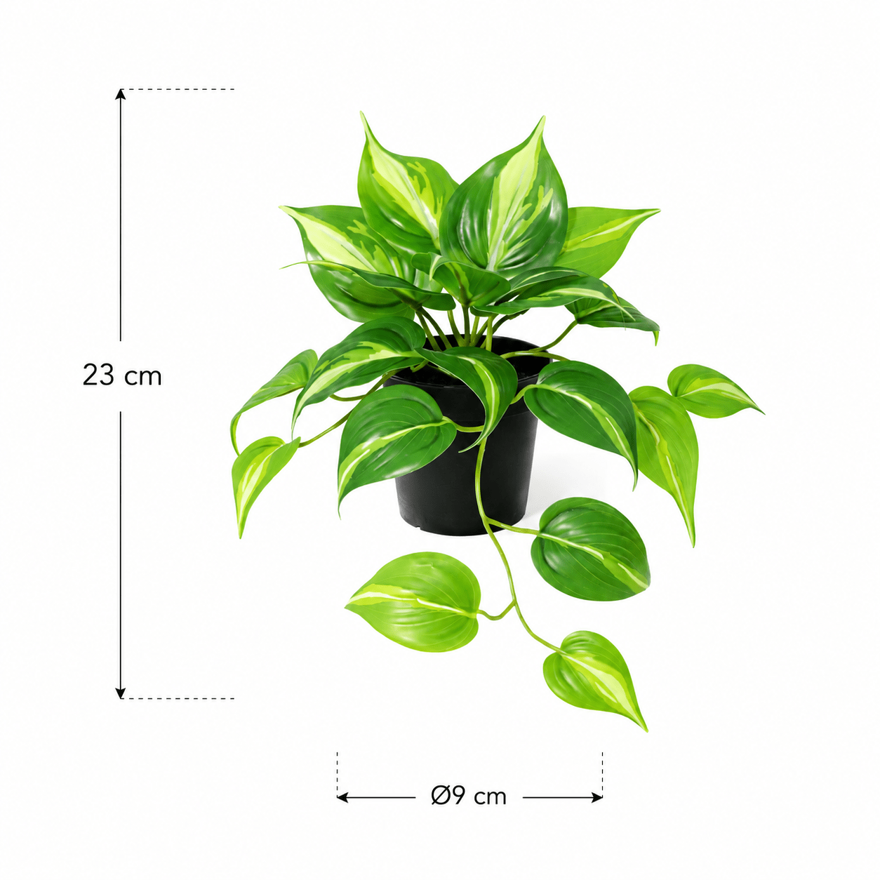 Kunstpflanze Efeutute Variegata 23 cm – künstliches Epipremnum - DYFLORA