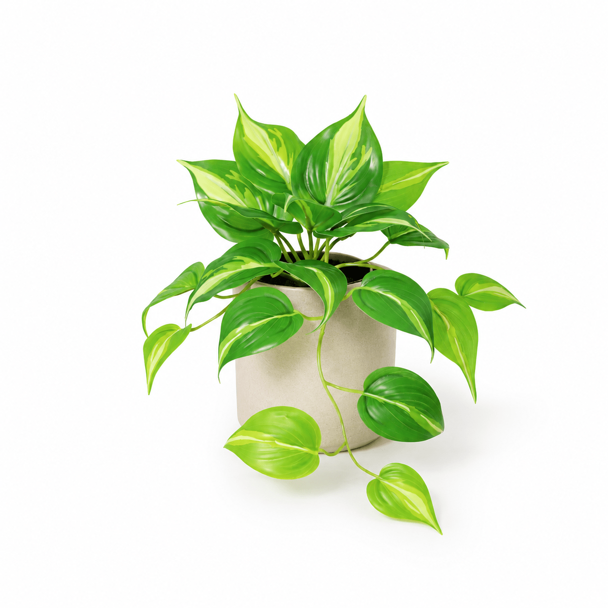 Kunstpflanze Efeutute Variegata 23 cm – künstliches Epipremnum - DYFLORA