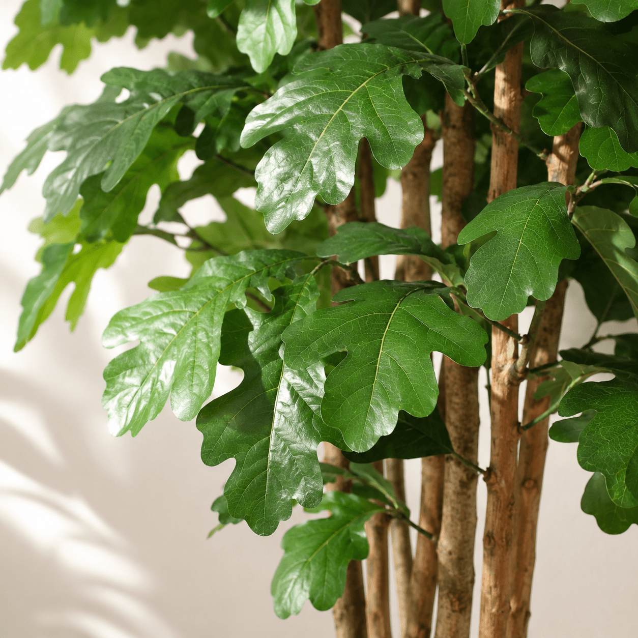 Kunstpflanze Eichenbaum 170 cm grün naturgetreu - DYFLORA
