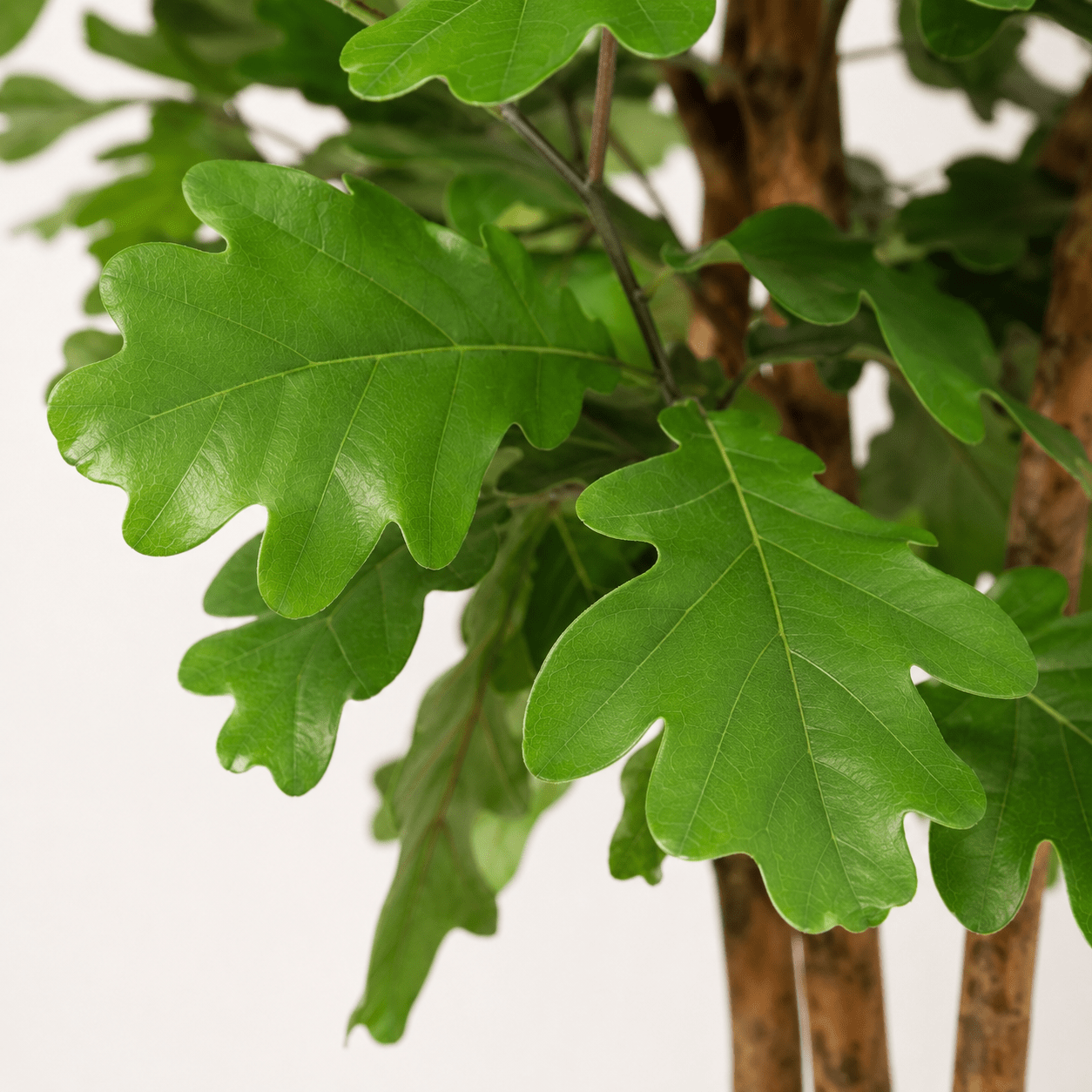 Kunstpflanze Eichenbaum 90 cm grün naturgetreu - DYFLORA