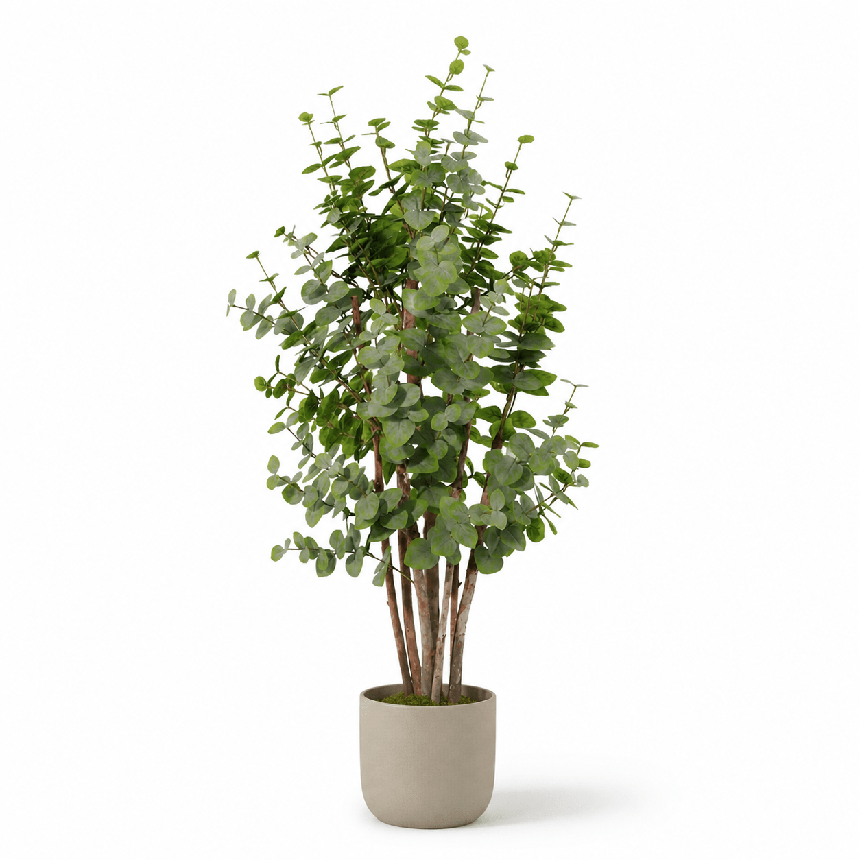 Kunstpflanze Eukalyptus 120 cm grün naturgetreu - DYFLORA