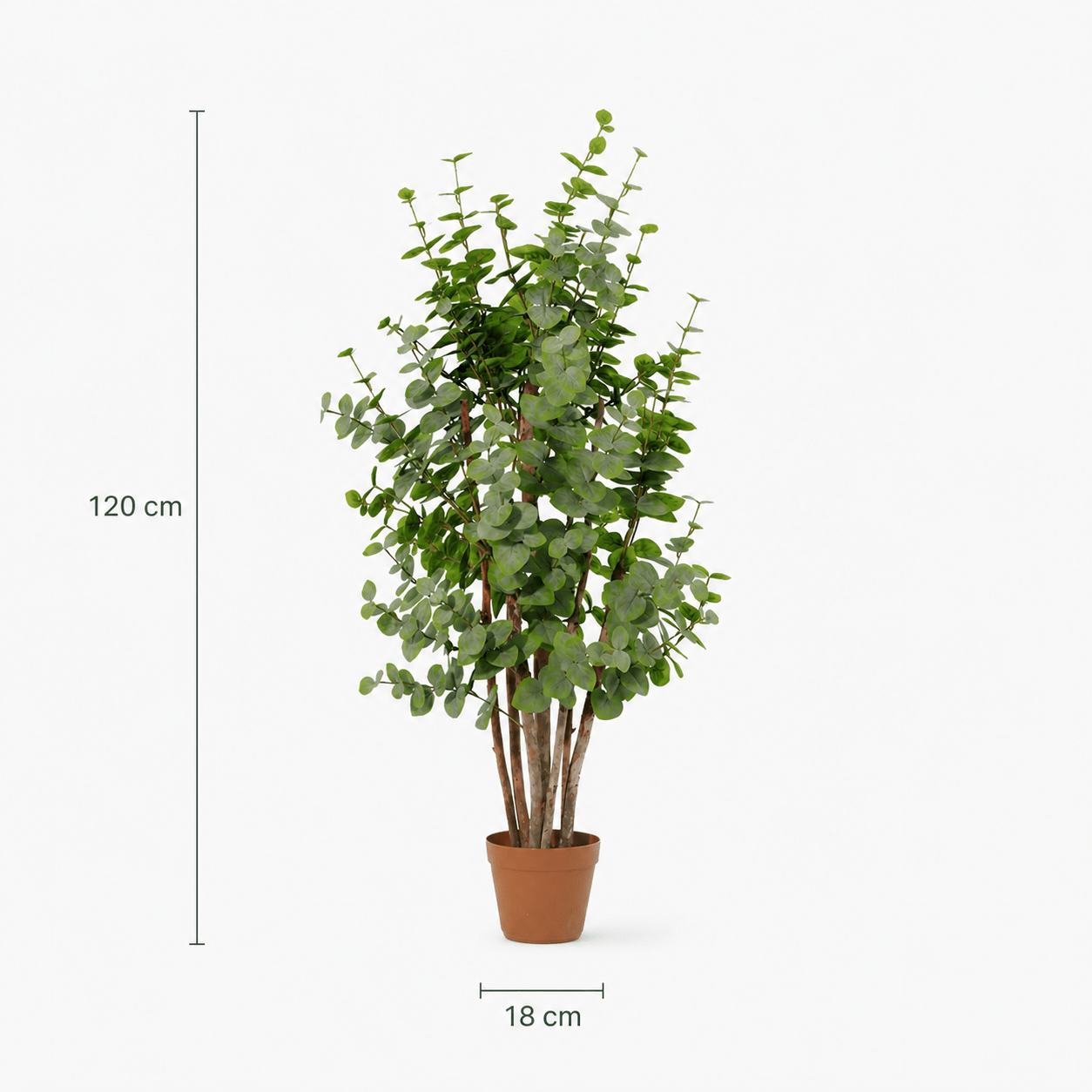 Kunstpflanze Eukalyptus 120 cm grün naturgetreu - DYFLORA