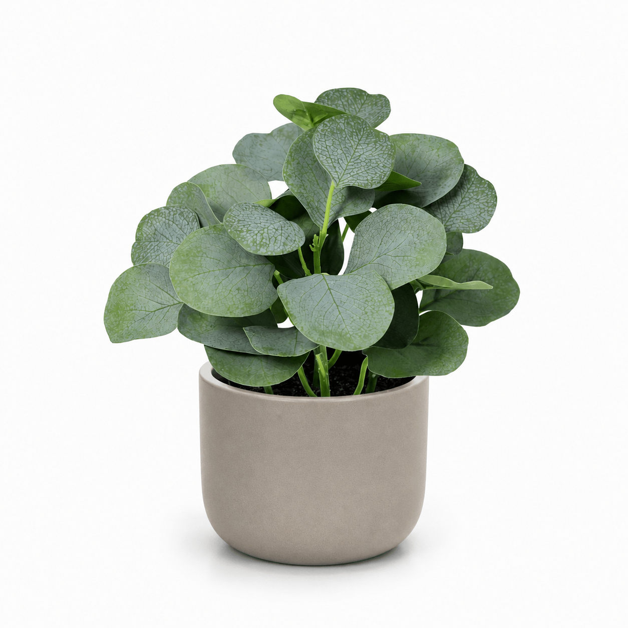 Kunstpflanze Eukalyptus 21 cm – künstlicher Eukalyptus kompakt - DYFLORA