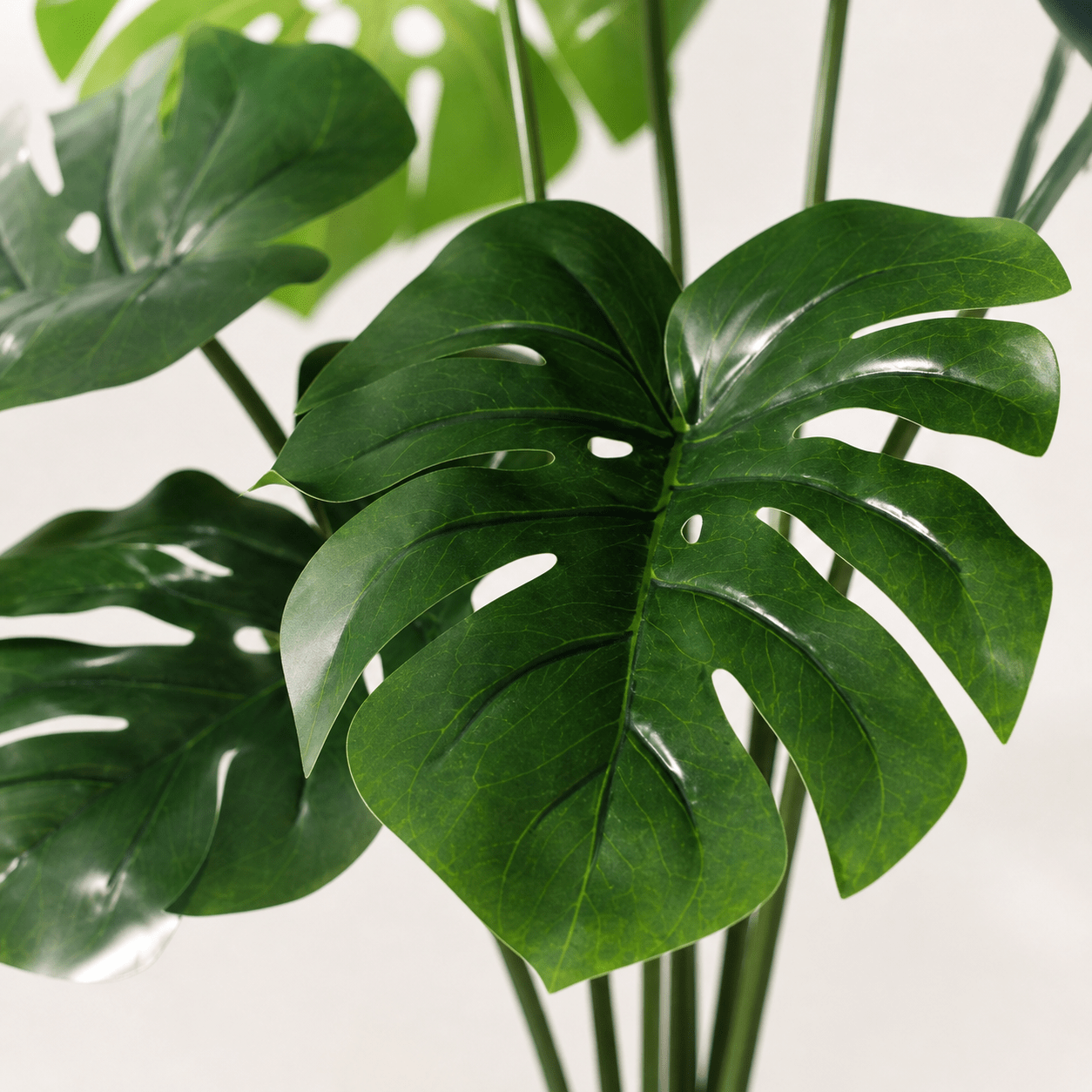 Kunstpflanze Fensterblatt Monstera Deliciosa 50 cm - DYFLORA