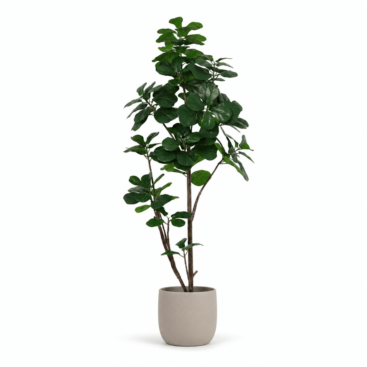 Kunstpflanze Geigenfeige 150 cm – künstlicher Ficus lyrata - DYFLORA