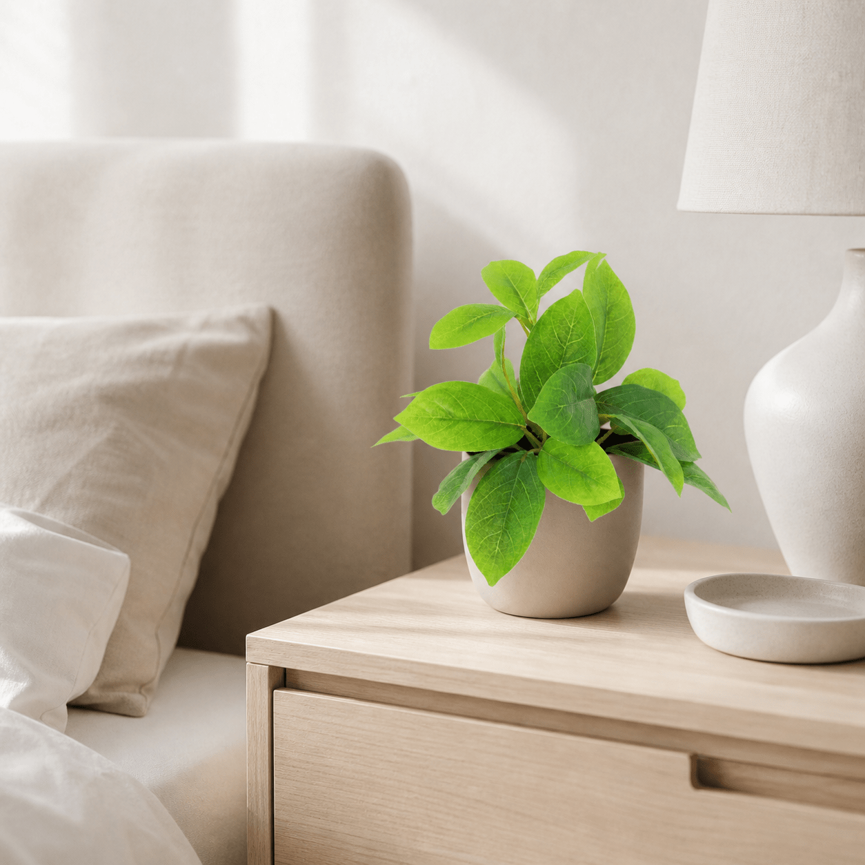 Kunstpflanze Hoya Grün 20 cm mit natürlicher, kompakter Blattoptik - DYFLORA