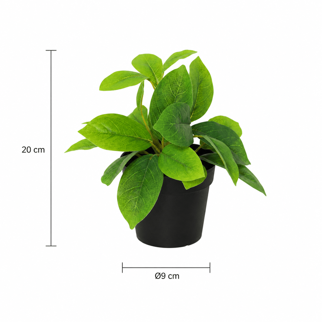 Kunstpflanze Hoya Grün 20 cm mit natürlicher, kompakter Blattoptik - DYFLORA